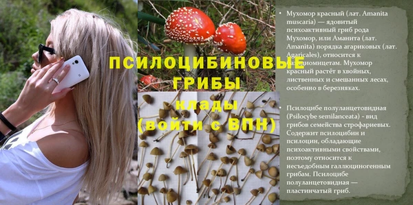 соль курить ск Приозерск