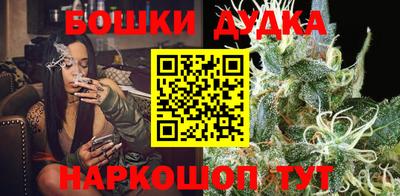 прущие грибы Апшеронск