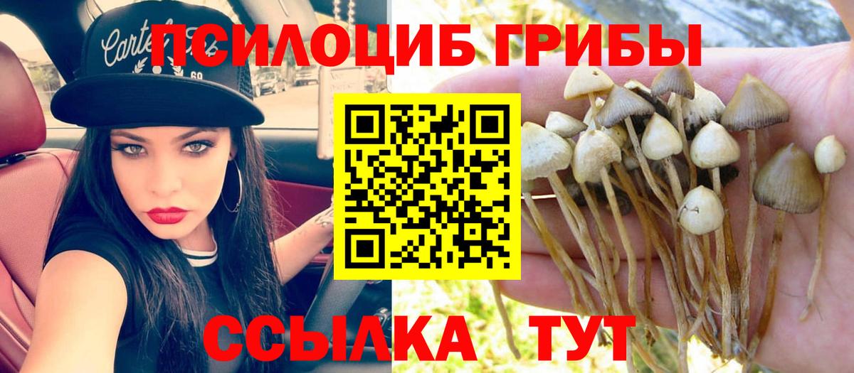 Галлюциногенные грибы GOLDEN TEACHER Великие Луки