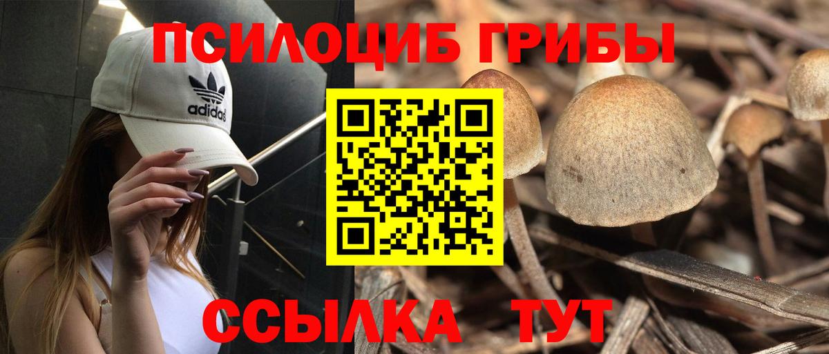 Галлюциногенные грибы MAGIC MUSHROOMS Великие Луки